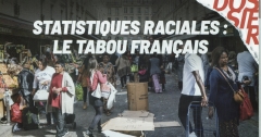 Statistiques raciales  le tabou français .jpeg