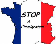 stop-a-l-immigration-230x180.png