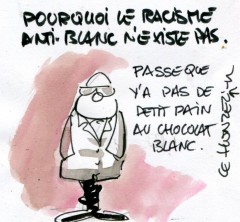 imgscan-contrepoints-2224-racisme-anti-blanc.jpg