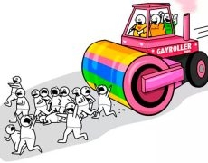 gayroller-230x180.jpg