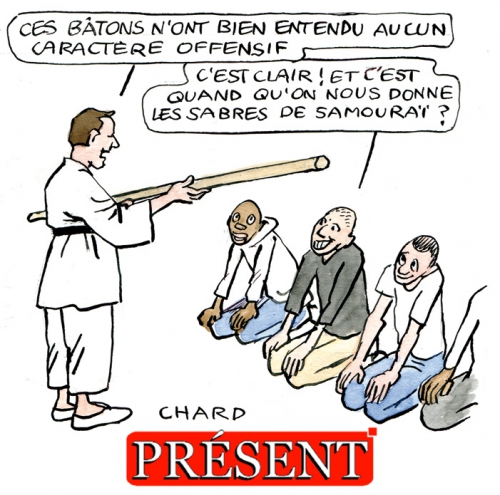 8570-Chard.jpg