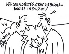 complotisme001-770x514-1-230x180.jpg